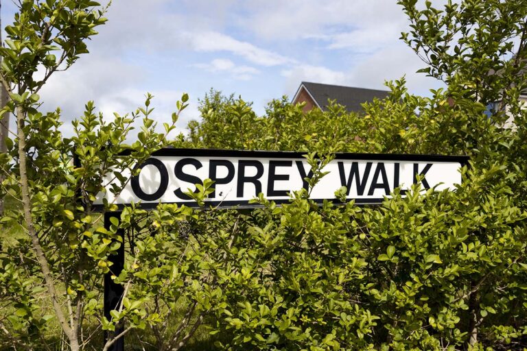 Osprey Walk