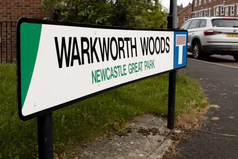 Warkworth woods - Image 2