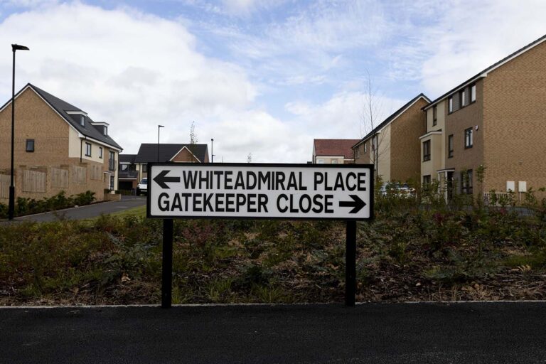 Whiteadmiral Gatekeeper Close